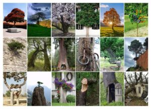 Метафорические карты "Дерево". Пример изображений колоды. 2